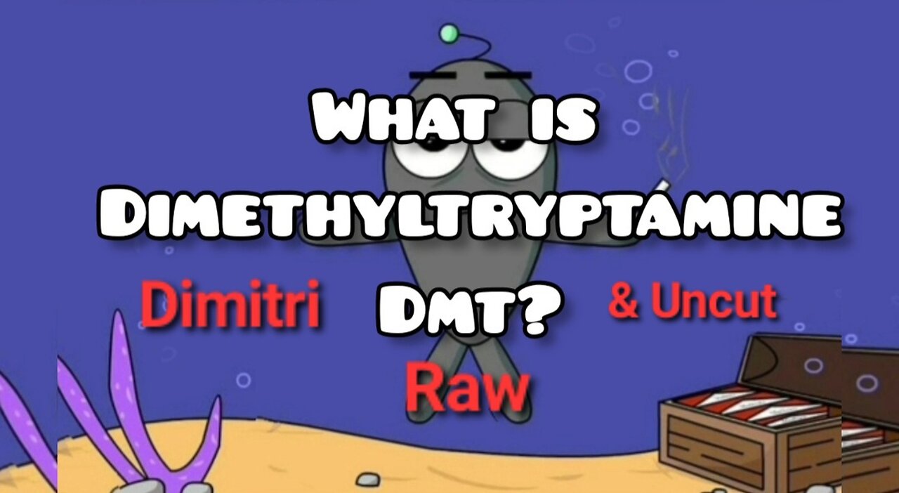 What is DMT?