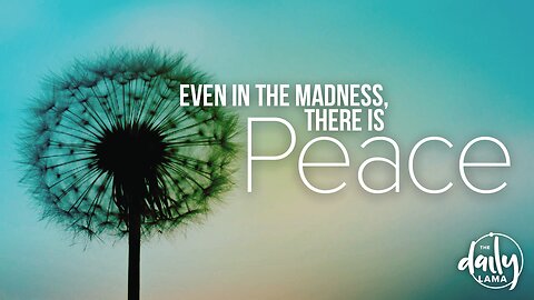 Even In the Madness, There Is Peace!