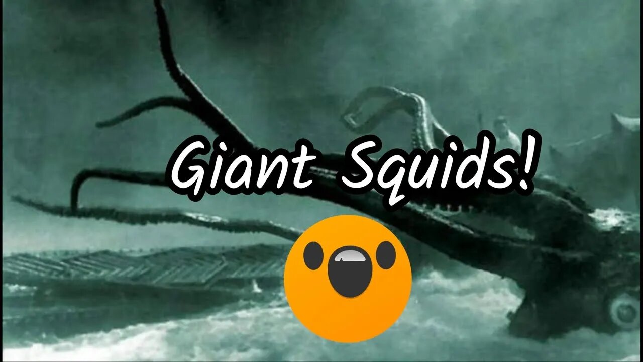 Giant Squids 💦