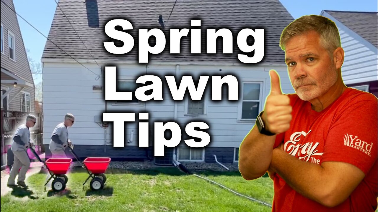 Cool Season Spring Lawn Tips