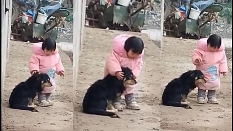 A girl covers her pet's ears to prevent her from being scared by fireworks