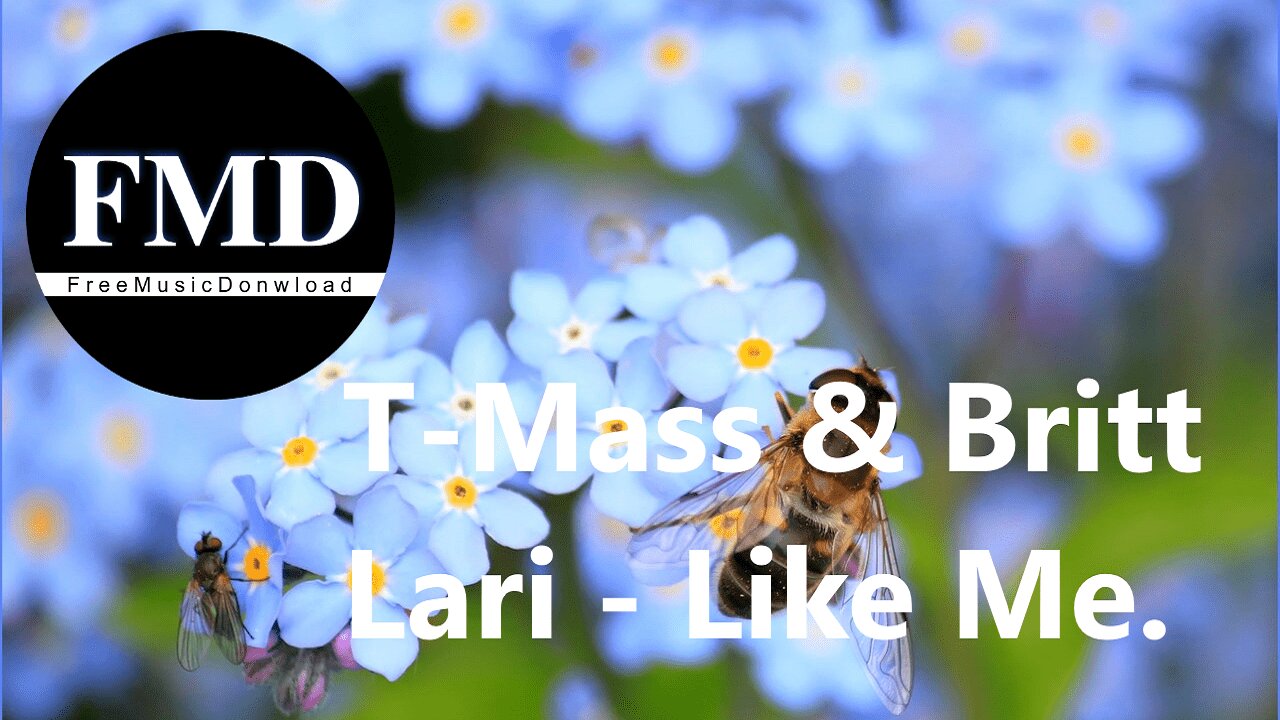 T-Mass & Britt Lari - Like Me