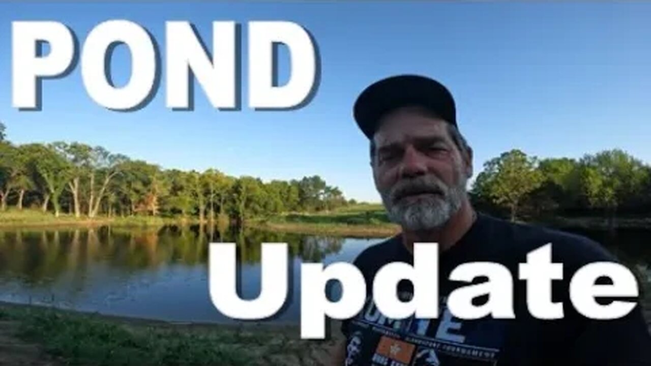 Pond update and a little bit of Freedom