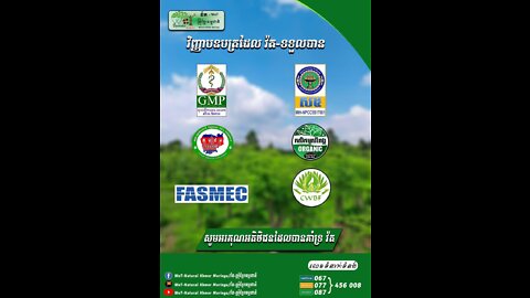 ដី ដែល្អសំរាប់ ដើមម្រុំ