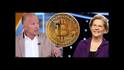 Michael Novogratz Takes on Elizebeth Warren Over Bitcoin Slander - Saylor Moon Assists: July 28 2021