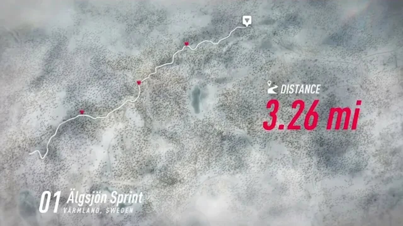 DiRT Rally 2 - RS200 Plods Through Algsjon