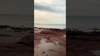 Rocky cliffs at the beach