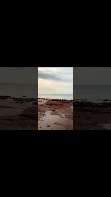 Rocky cliffs at the beach