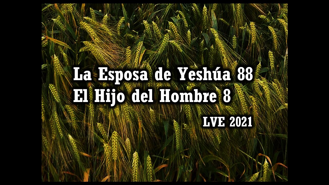 La Esposa de Yeshúa 88 - El Hijo del hombre 8