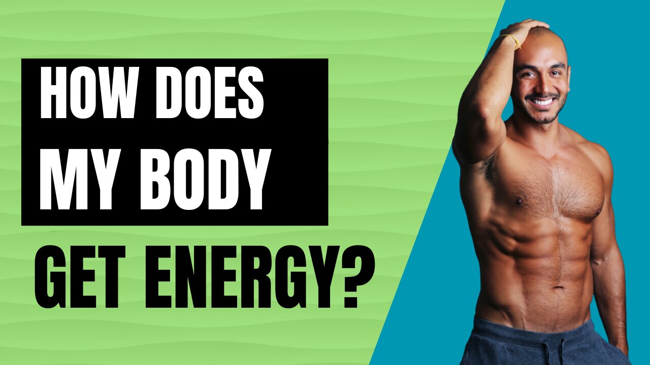 💁How Does My Body Get ENERGY🏃