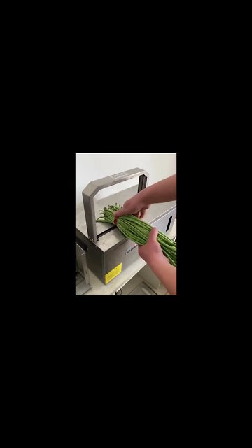 #shorts #2022 funny,prank,funjokes,dad jokes,funny memes,funny video,fun,laughing,funny animal,knock