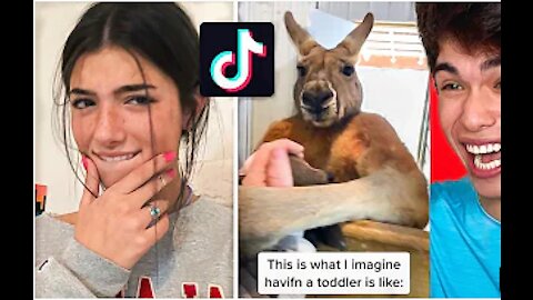 TikToks That Are Actually Funny