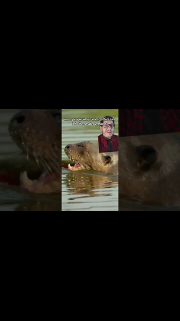 These Water Wolverines are not to be messed with