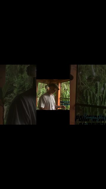 proflame - biznis 🇱🇹🇺🇸🌎🎶 from the live - dj stream #chicago #lithuanian