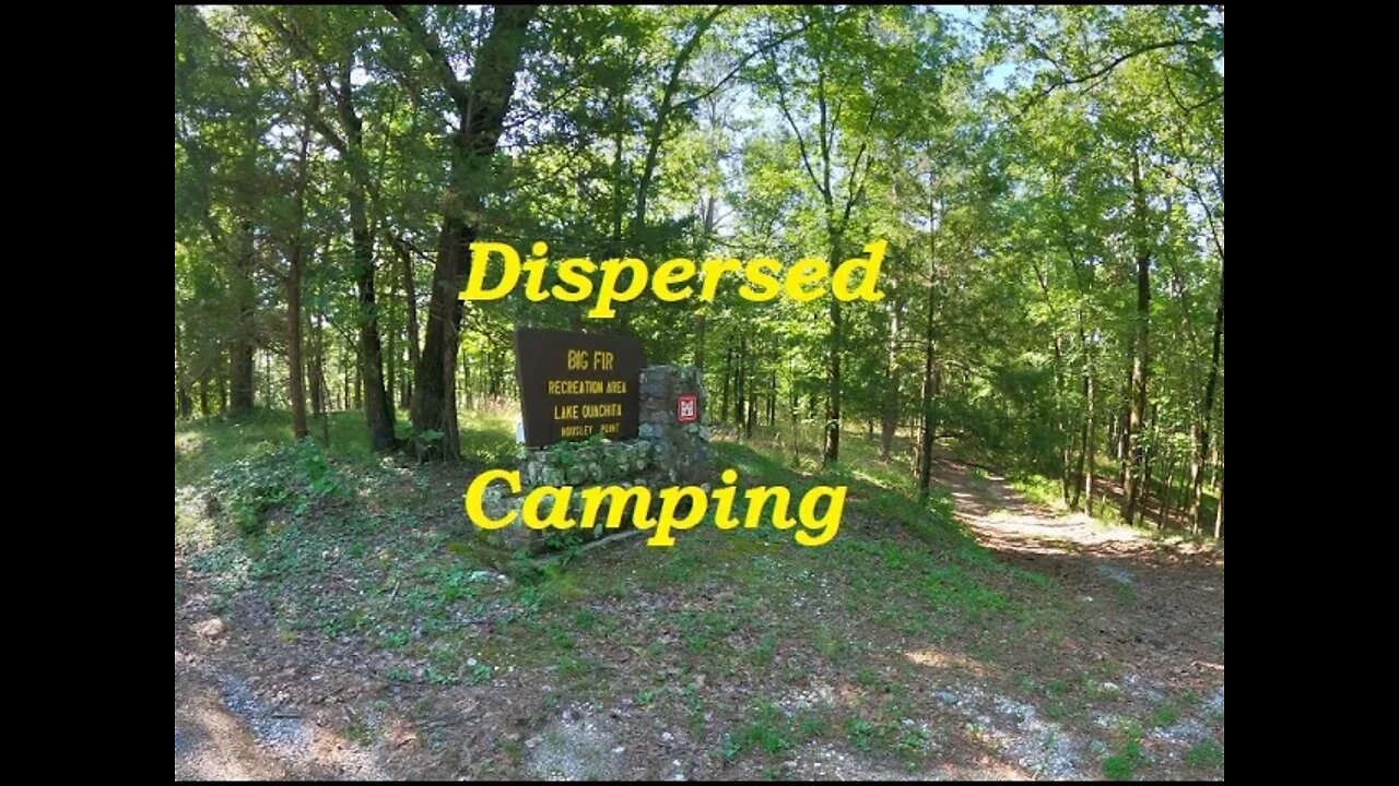 Ouachita NF Big Fir Dispersed Camping