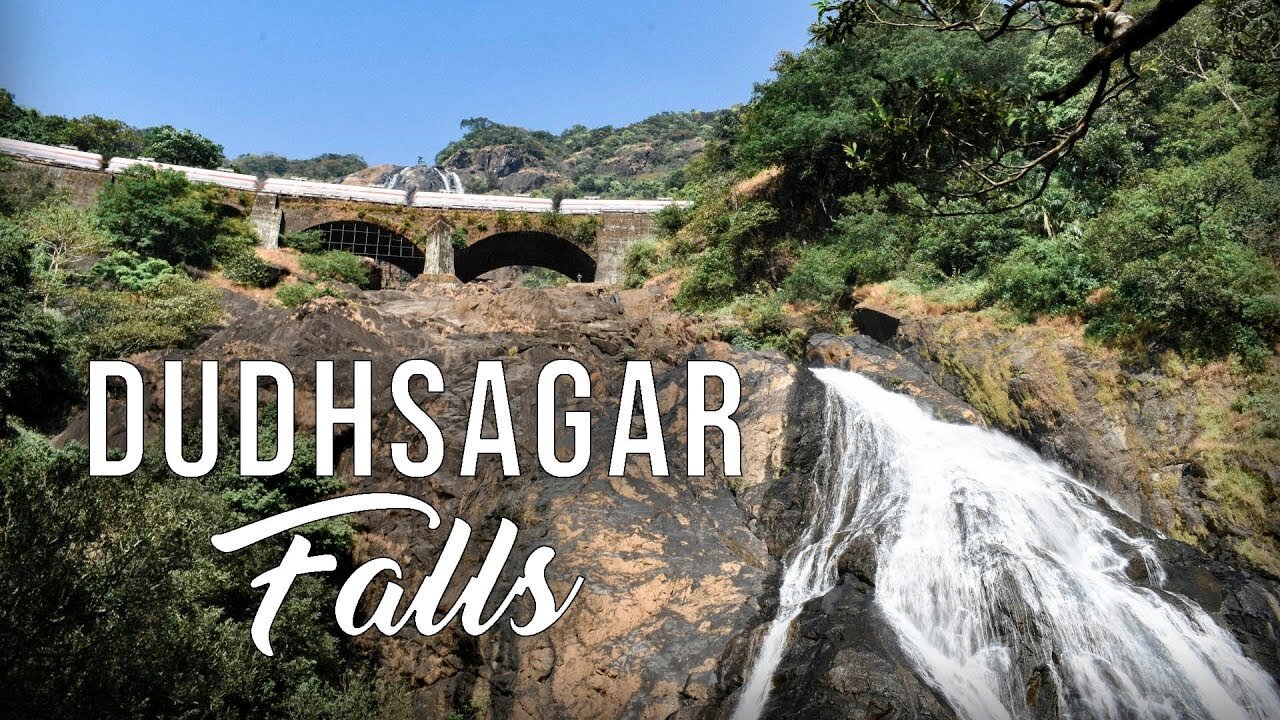 Dudhsagar Falls, Goa Vlog! | Swimming in the falls!