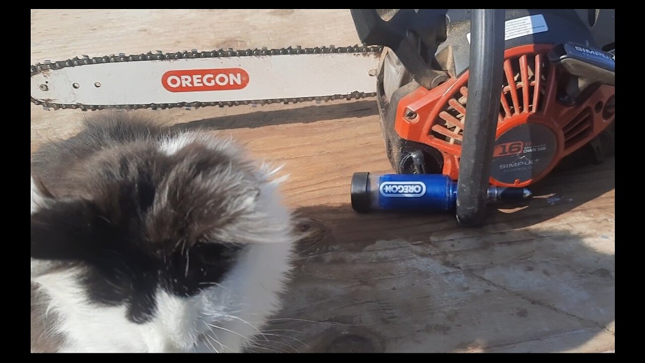 Maintaining chainsaw bar