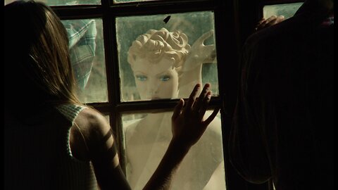 Supporter Video | news roundup