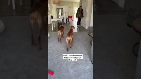 This is great! 💕😂😂