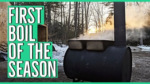 First Time Making Maple Syrup on the Homestead using 55 Gallon Drum Evaporator