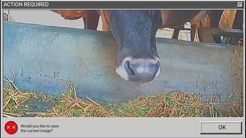 An Important Conversation About Dairy farm