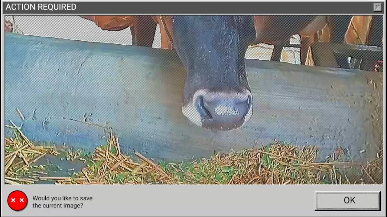 An Important Conversation About Dairy farm