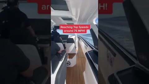 Boats Gone Wild