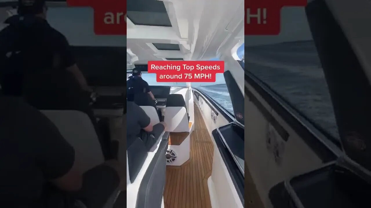 Boats Gone Wild