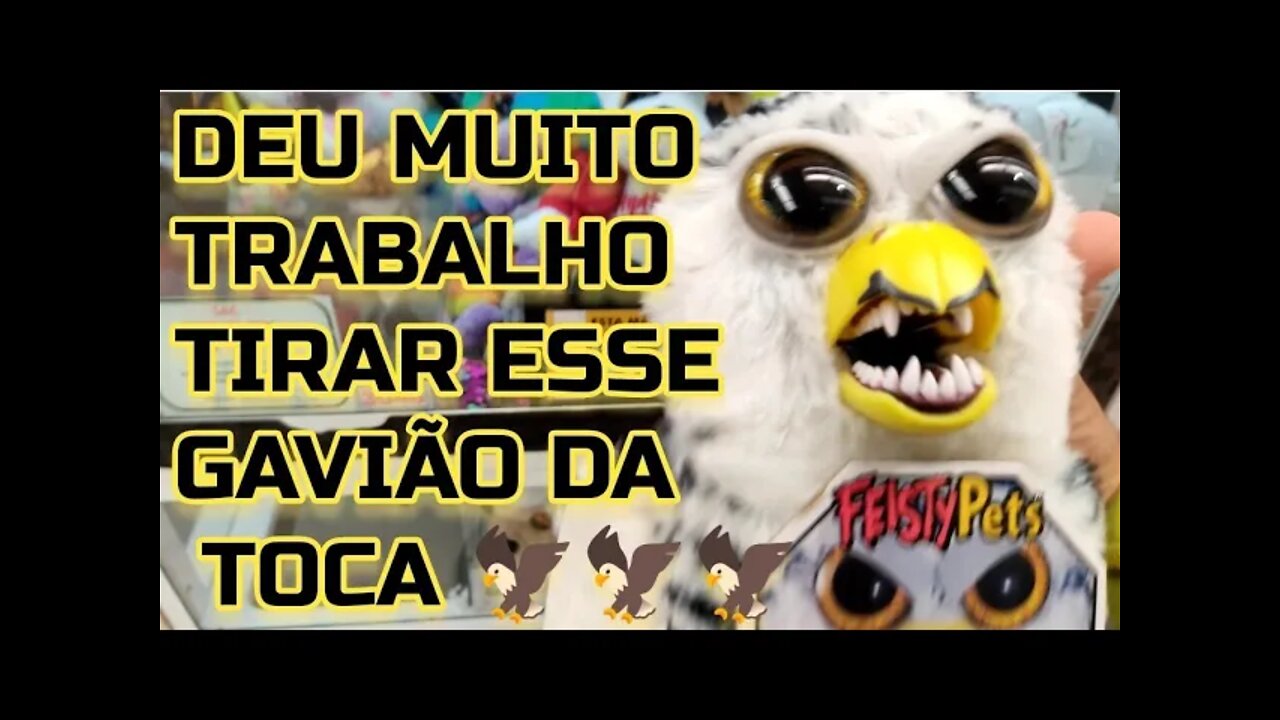 FEISTY PETS GAVIÃO FOI DIFÍCIL DE TIRAR DA TOCA 😡😱🤬