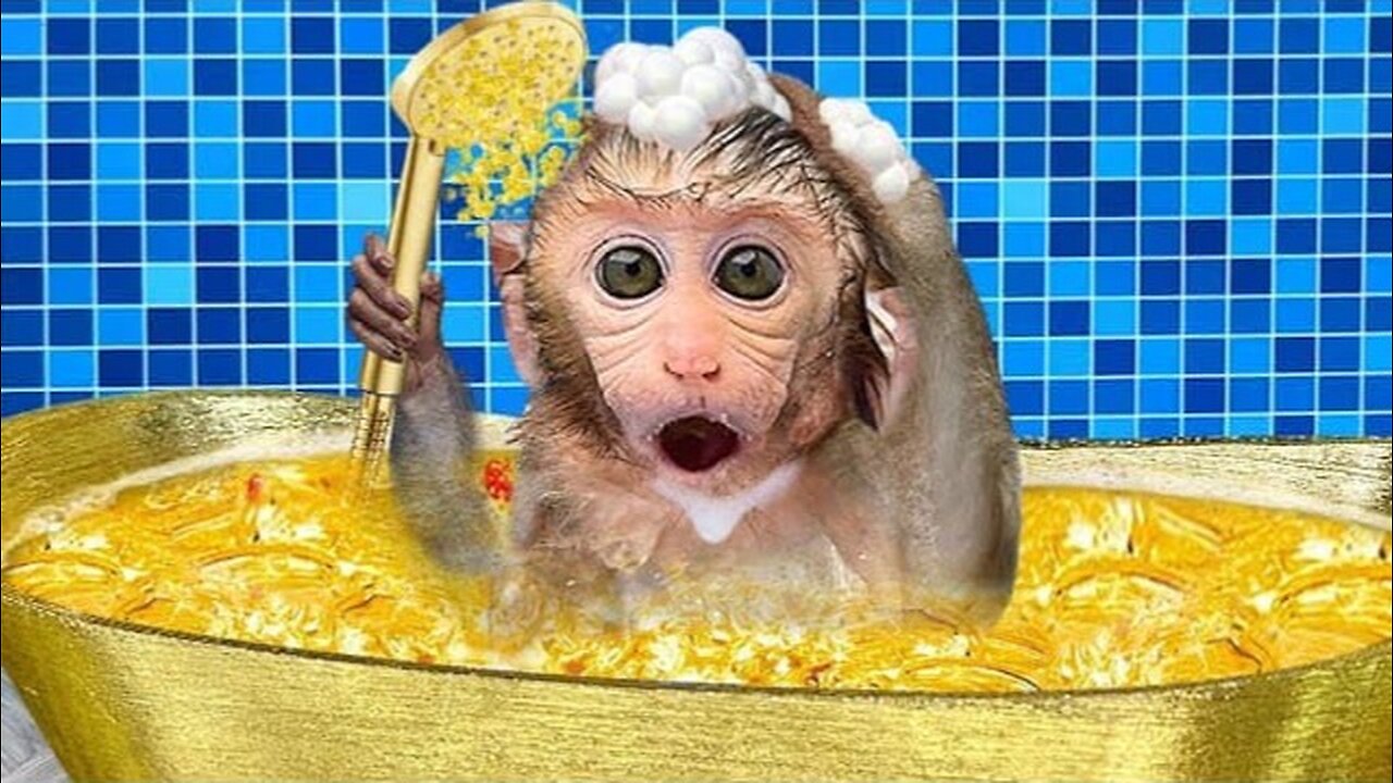 Monkey baby bon bon bon eat fruit in the bathtub and noughty with puppy in the garden