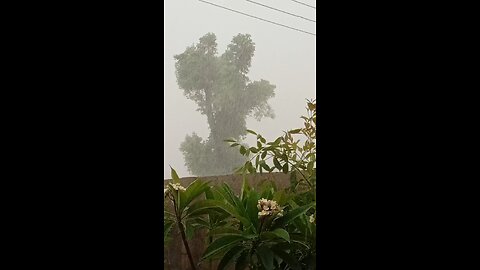 Heavy rain in sindh