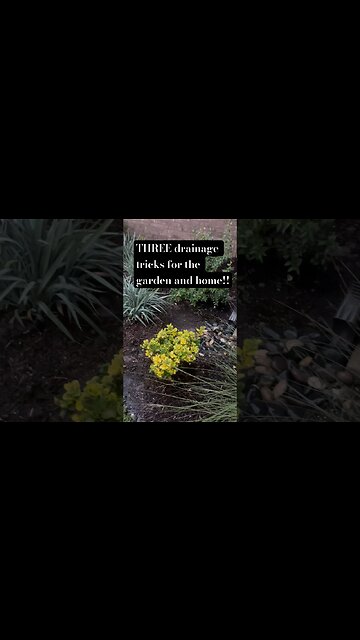 Three rain drainage tricks for garden and home