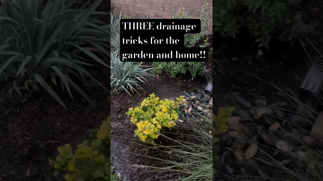 Three rain drainage tricks for garden and home