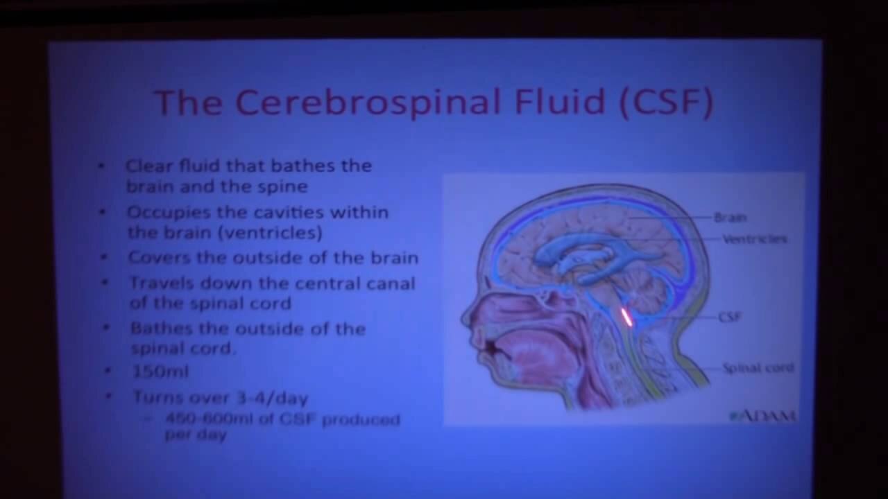 Secrets of Cerebrospinal Fluid (CSF)