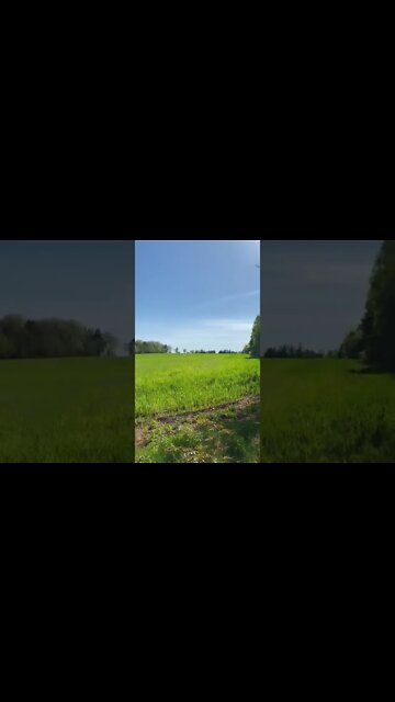 Hidden Farmers field off a trail