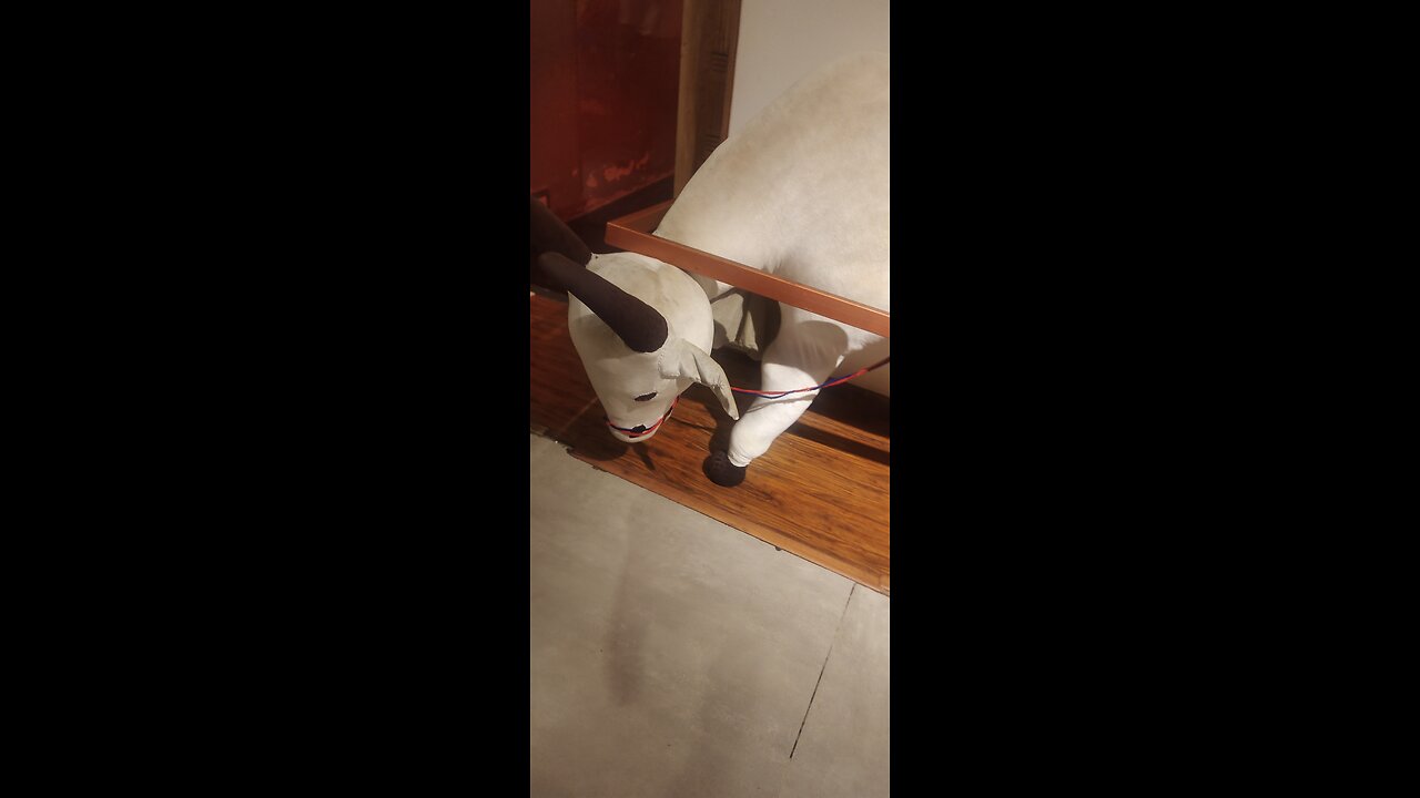 Funny Videos Part 1