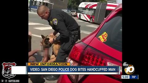 Video shows man caught in bite by SDPD K9