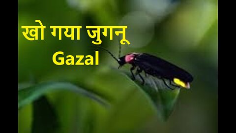 खो गया जुगनू Gazal