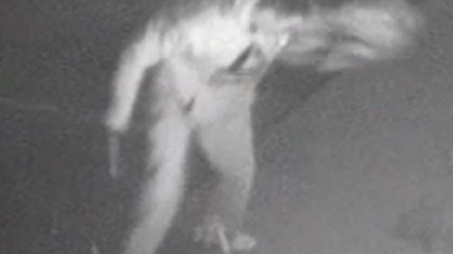 Suspect wanted for setting man on fire