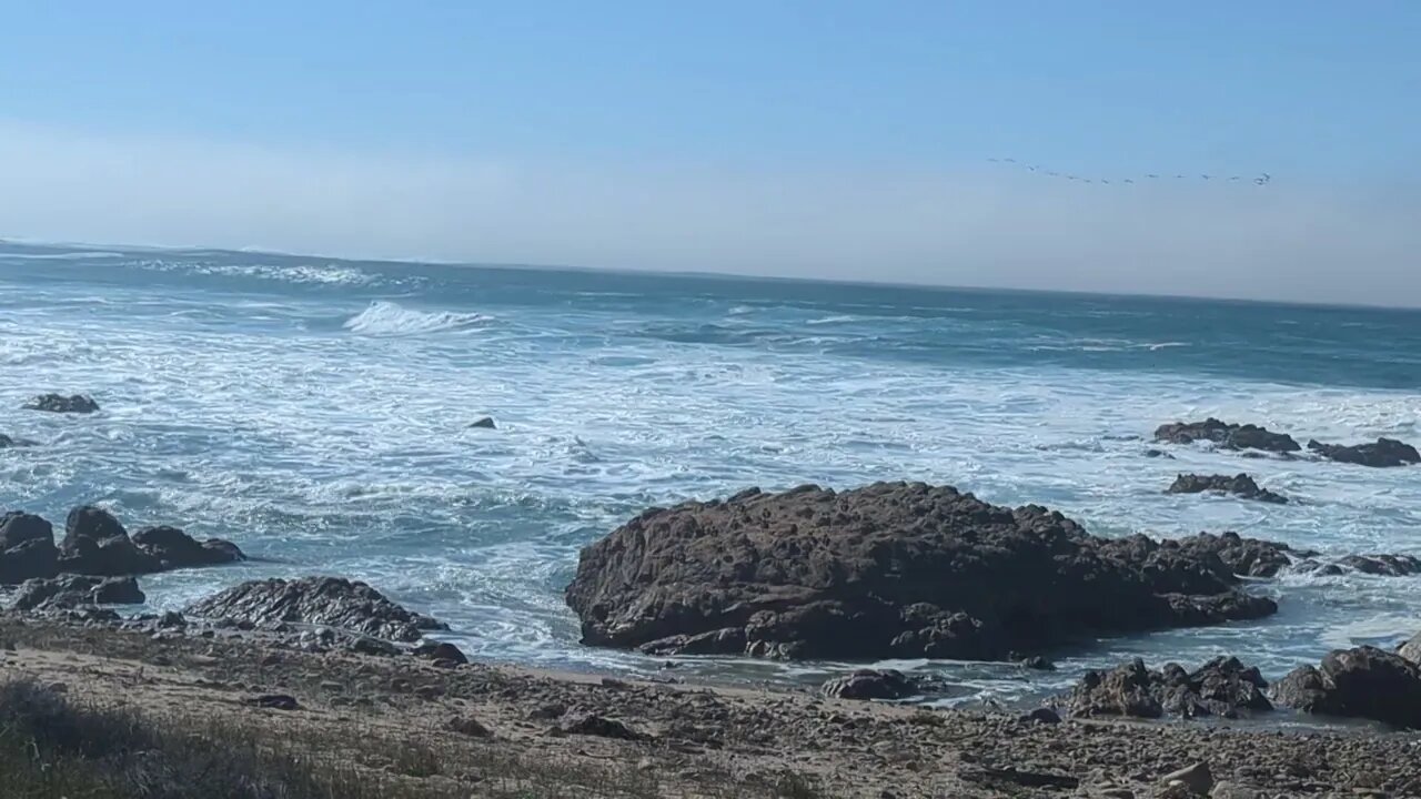 Asilomar State Beach