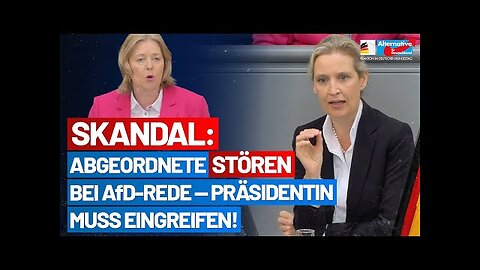 Alice Weidel "JA" aber...(bitte bis zu Ende schauen)