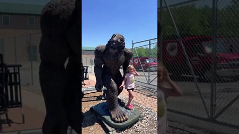 A visit with Bigfoot