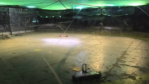 RoboRiots Dublin 2022: King B Vs Halo