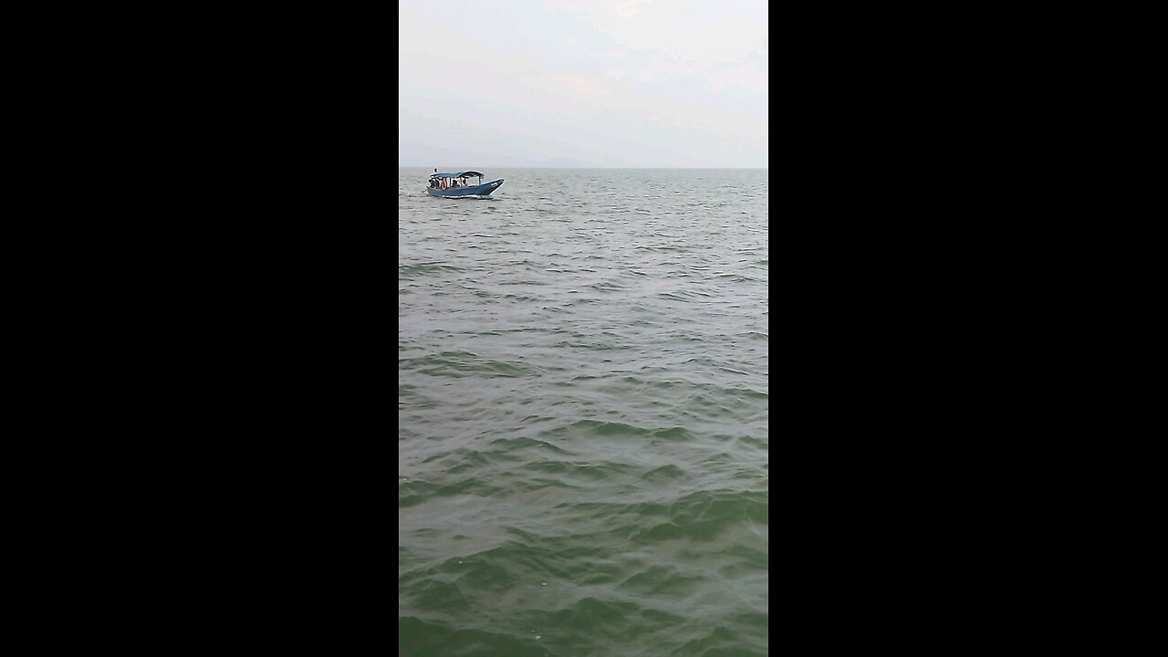 chilika odisha panthanivas