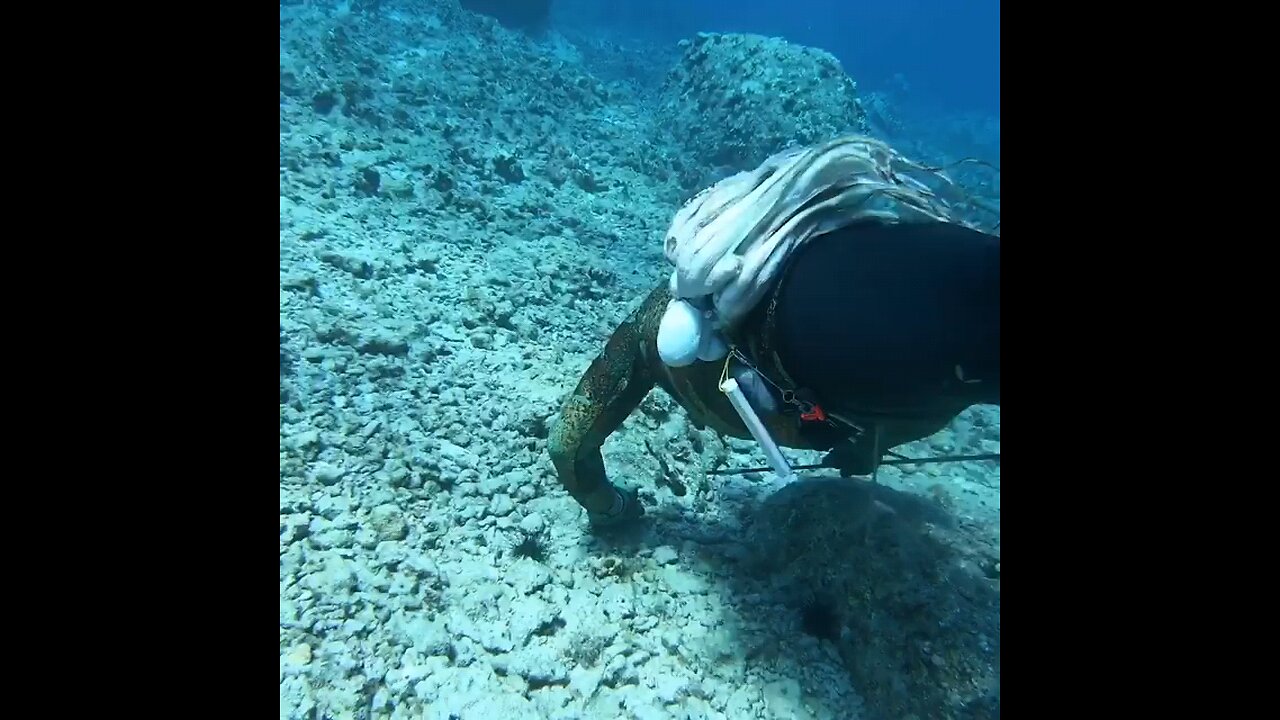 Sea food hunting..🦭🍤🦐🐟🦀🌊🐚