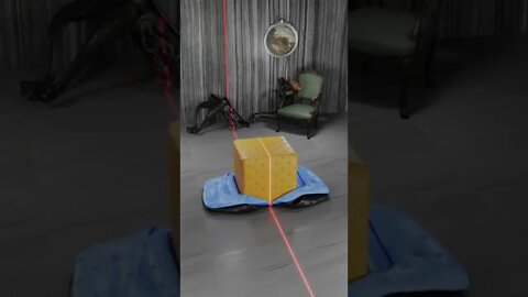 Viral videos and Trending videos for entertainment(1)