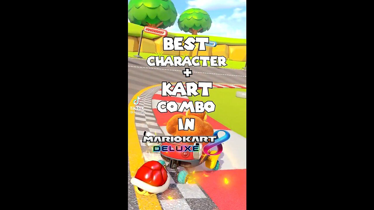 BEST MARIO KART COMBO, EXPERTS APPROVE!!