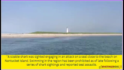 A sizable shark was sighted engaging in an attack on a seal close to the beach on Nantucket Island.