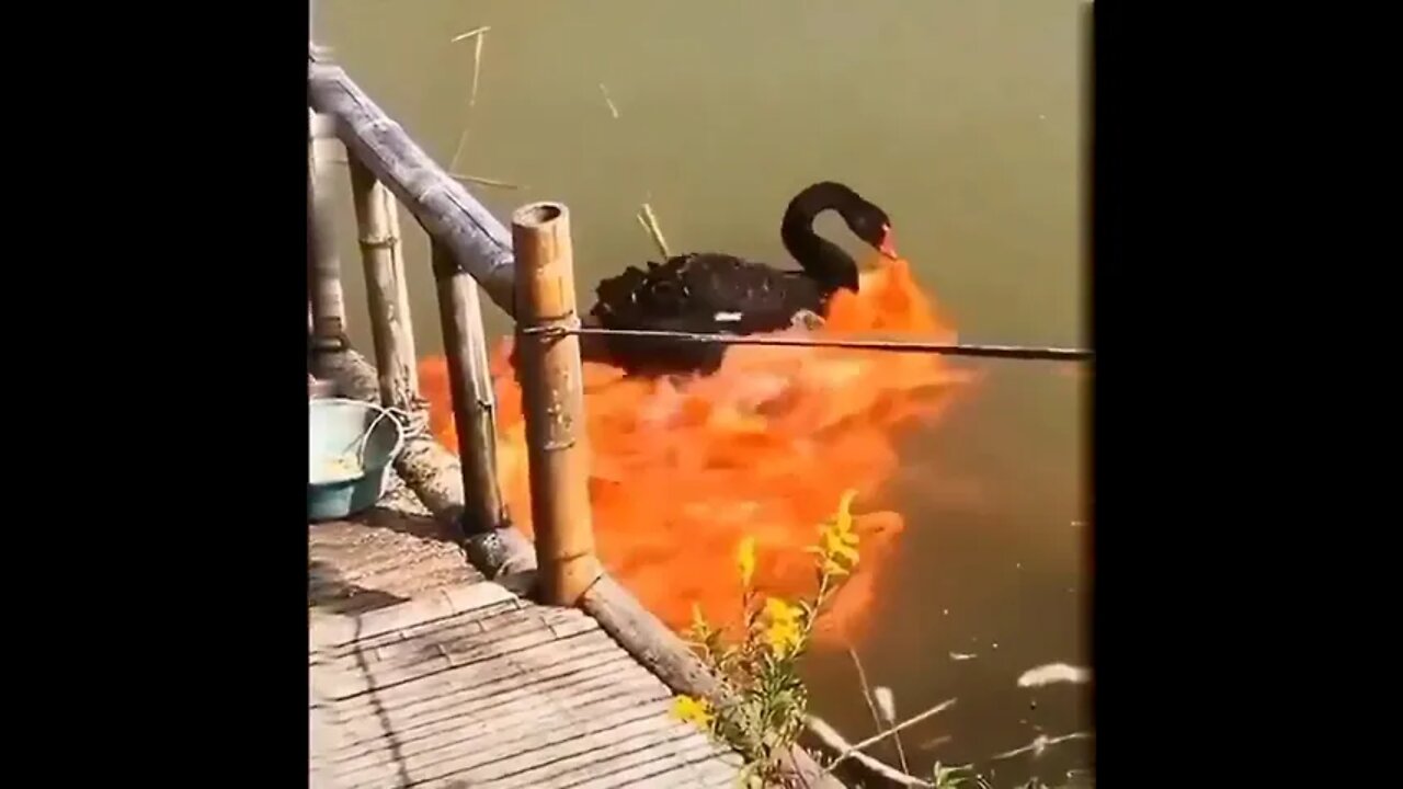 Loving Nature. ❤💚❤💚