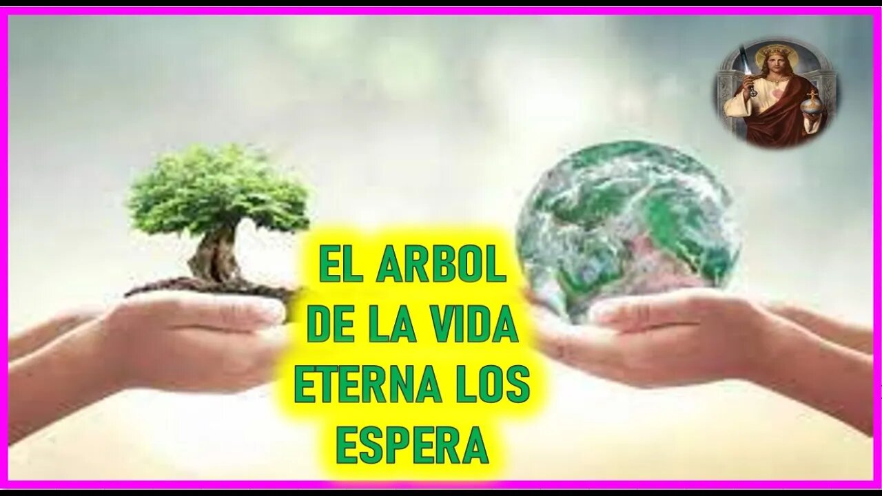 MENSAJE DE JESUCRISTO REY A MIRIAM CORSINI - EL ARBOL DE LA VIDA ETERNA LOS ESPERA
